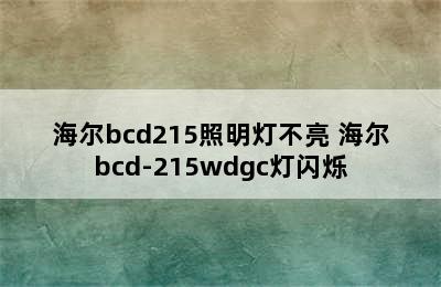 海尔bcd215照明灯不亮 海尔bcd-215wdgc灯闪烁